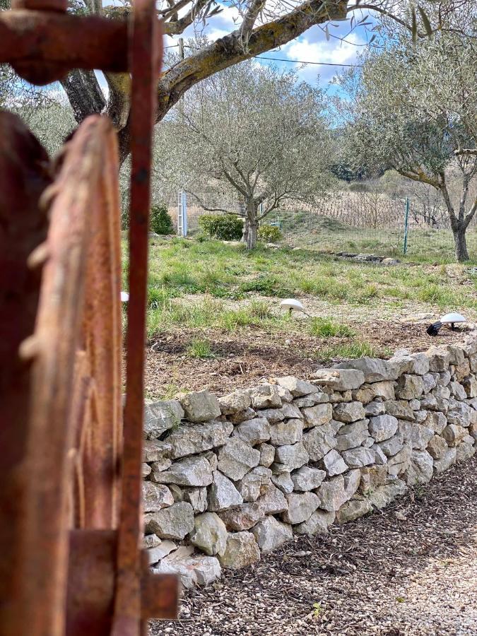 Gite Romarin Avec Spa Saint-Jean-de-Barrou Eksteriør billede